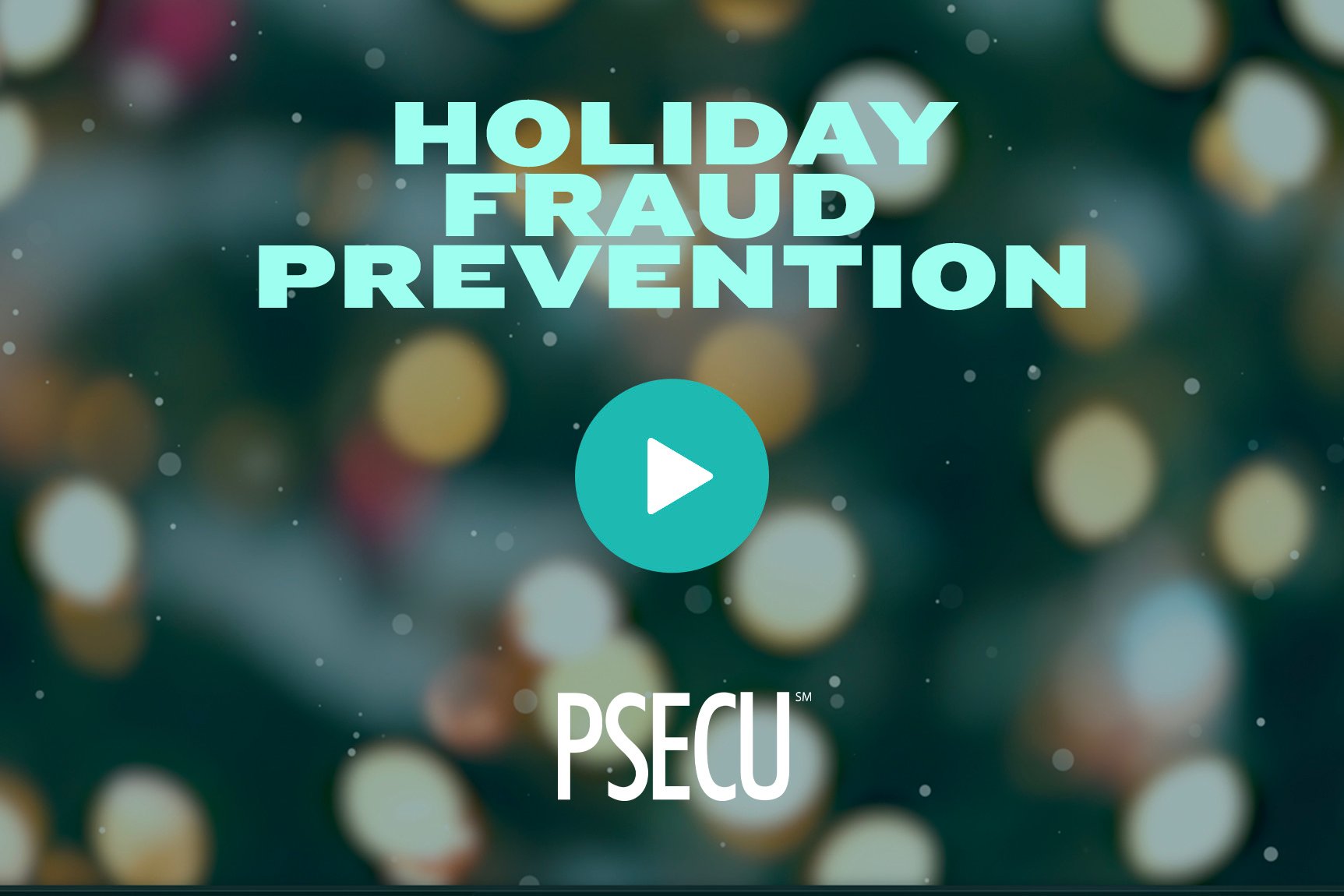 Holiday Fraud